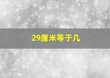 29厘米等于几