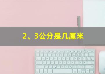 2、3公分是几厘米