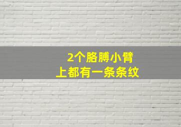 2个胳膊小臂上都有一条条纹