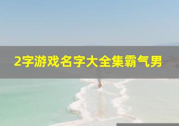 2字游戏名字大全集霸气男