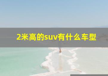 2米高的suv有什么车型