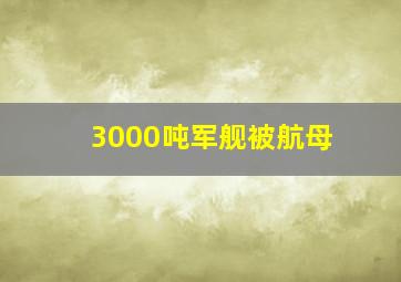 3000吨军舰被航母