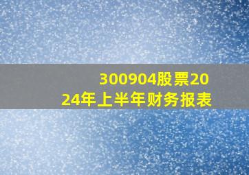 300904股票2024年上半年财务报表