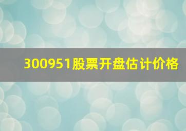 300951股票开盘估计价格