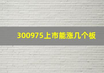 300975上市能涨几个板