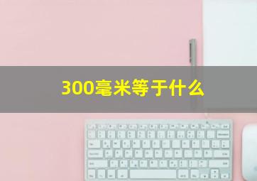 300毫米等于什么