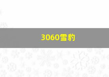 3060雪豹