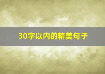 30字以内的精美句子