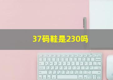 37码鞋是230吗