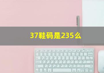 37鞋码是235么