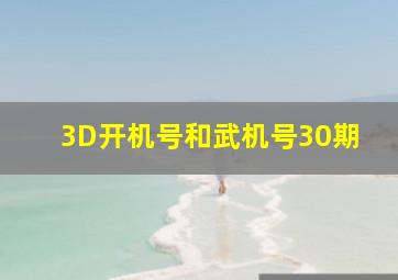 3D开机号和武机号30期