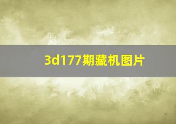 3d177期藏机图片