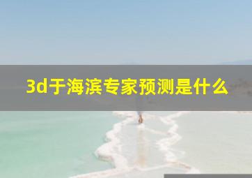 3d于海滨专家预测是什么