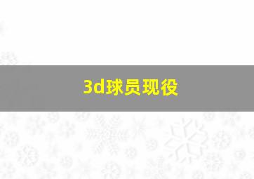 3d球员现役