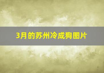 3月的苏州冷成狗图片