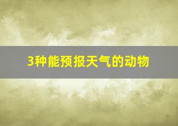 3种能预报天气的动物