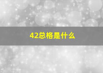 42总格是什么