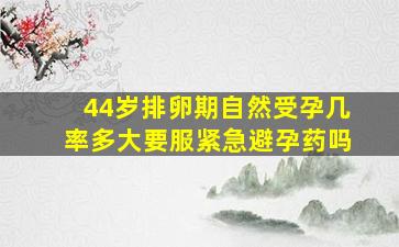 44岁排卵期自然受孕几率多大要服紧急避孕药吗