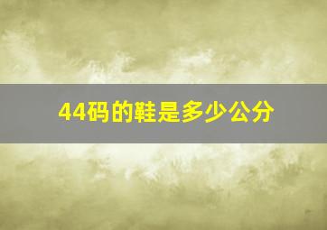 44码的鞋是多少公分