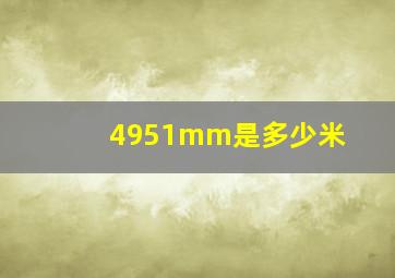 4951mm是多少米