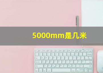 5000mm是几米