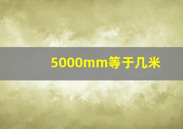 5000mm等于几米