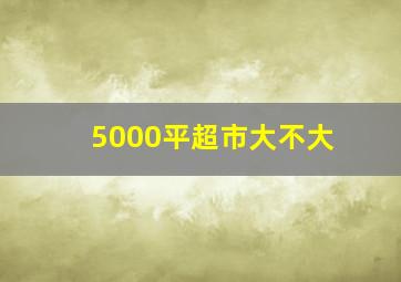 5000平超市大不大