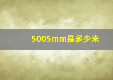 5005mm是多少米