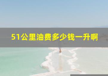 51公里油费多少钱一升啊