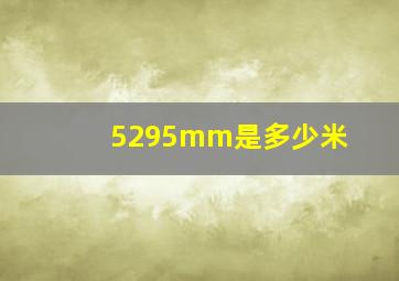 5295mm是多少米