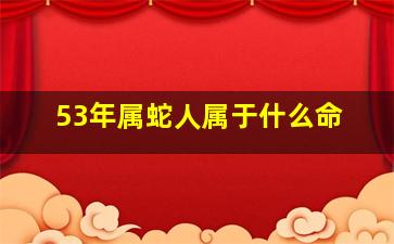 53年属蛇人属于什么命