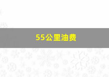 55公里油费