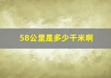 58公里是多少千米啊