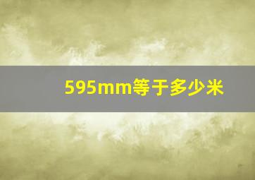 595mm等于多少米