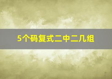 5个码复式二中二几组