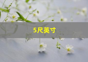 5尺英寸