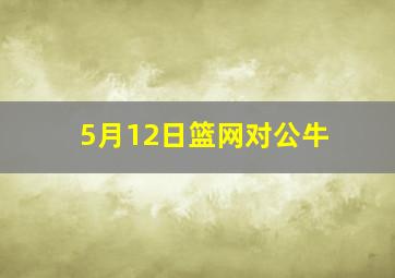 5月12日篮网对公牛