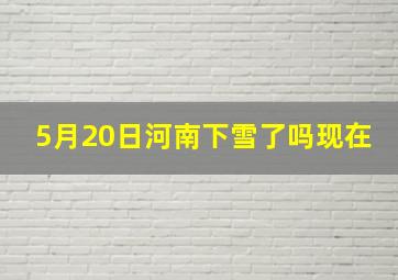 5月20日河南下雪了吗现在