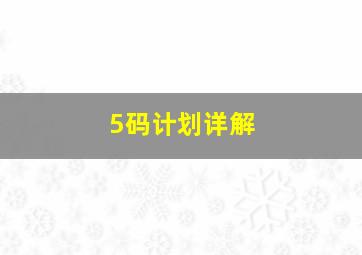 5码计划详解