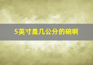 5英寸是几公分的碗啊