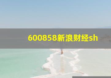 600858新浪财经sh