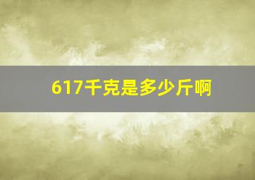 617千克是多少斤啊