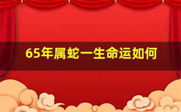 65年属蛇一生命运如何