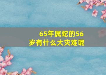 65年属蛇的56岁有什么大灾难呢