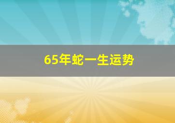 65年蛇一生运势