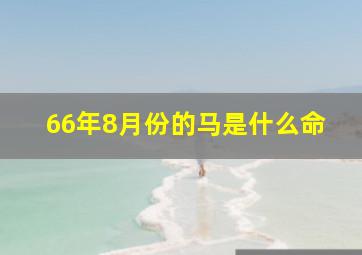 66年8月份的马是什么命