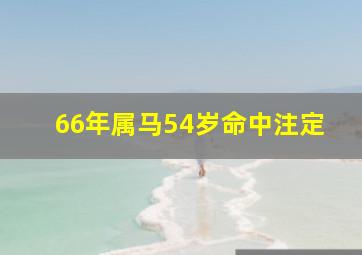 66年属马54岁命中注定