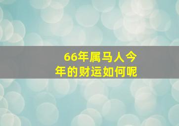 66年属马人今年的财运如何呢