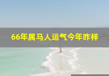 66年属马人运气今年咋样