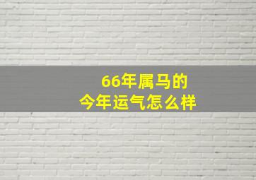 66年属马的今年运气怎么样